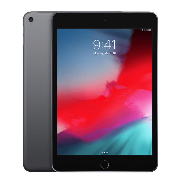 Refurbished iPad mini 5 256GB WiFi + 4G Gris sideral | Hors câble et chargeur