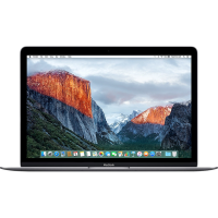 Macbook 12-inch | Core m3 1.1 GHz | 256 GB SSD | 8 GB RAM | Spacegrijs (Early 2016) | Qwerty